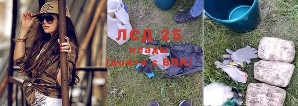 прущие крисы Осинники