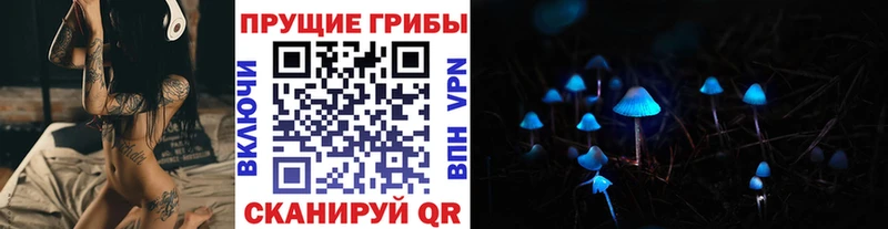 Галлюциногенные грибы Cubensis  hydra маркетплейс  Руза  где найти наркотики 
